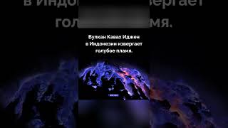 А вы знали? 🤔 #фактыинтересные #топфакт