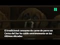 El parlamento surcoreano aprueba prohibir el consumo humano de carne de perro para 2027