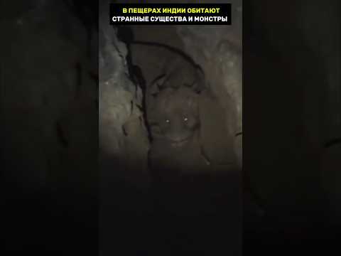 В пещерах Индии живут монстры #древниймир #цивилизации #история