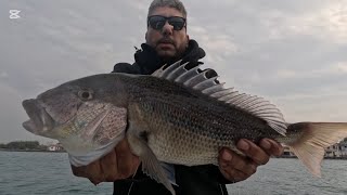 Ψάρεμα .Της συναγρίδας το κάγκελο @