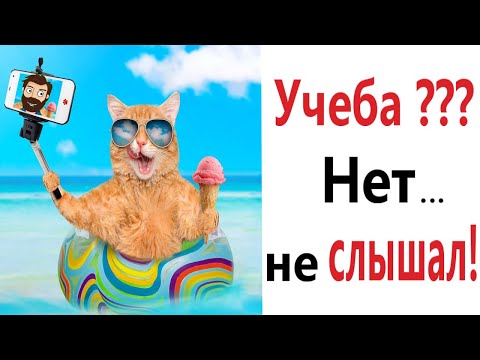Лютые приколы! ШКОЛА??? НЕТ – НЕ СЛЫШАЛ!!! Тест на психику! Попробуй не засмеяться! – Domi Show!