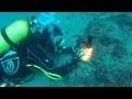 Buceo en la Costa Tropical -CONGRIO