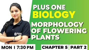 Plus One Biology Exam | Morphology of Flowering Plants Part 2 | Chapter 5 | Exam Winner +1 | +1 Exam