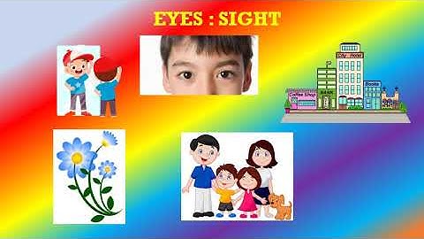 CLASS 1 EVS LESSON 2 SESSION 2 MY BODY