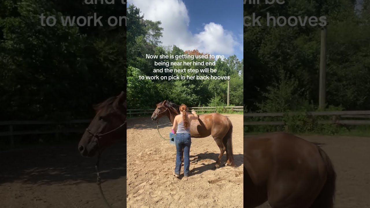 Working With My 10 Year Old Mustang