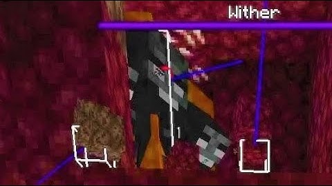 when you try to speedrun the wither