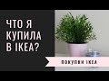 ПОКУПКИ IKEA ИЮНЬ 2018/ВЛОГ ИЗ МАГАЗИНА