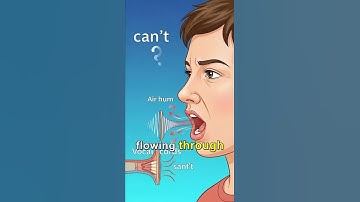 Did You Know You Can