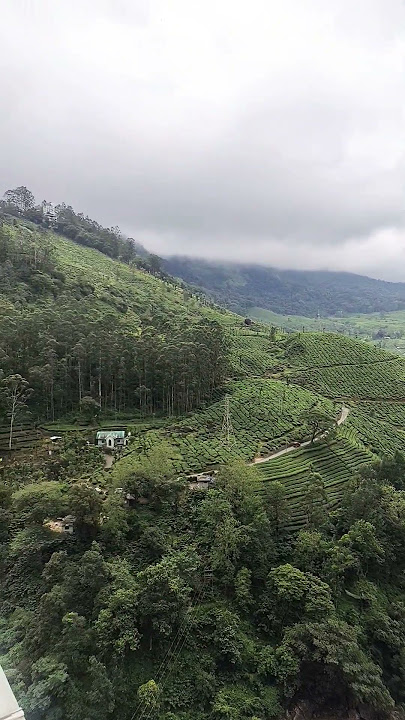 അന്നൊരിക്കൽ #annorikkal #munnar #viralvideoalbum