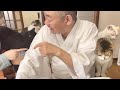 猫もかわいいけど住職もかわいい