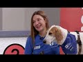 I PROMISE student speaks with member of Akron Children&#39;s Hospital&#39;s Doggie Brigade