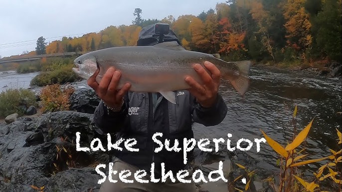 Monster Sturgeon on the Rainy River 