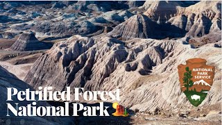 Petrified Forest National Park | Arizona 🏜️ Parque Nacional del Bosque Petrificado