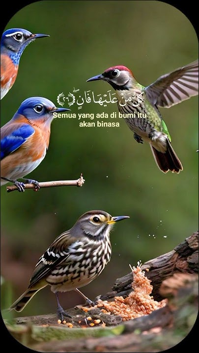 short-quran-verses-youtube