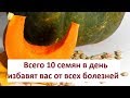 Тыква, уникальный овощ! Полезные свойства тыквы для детей и взрослых!