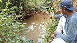 MANCING IKAN WADER UMPAN ROTI...