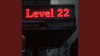 Level 22