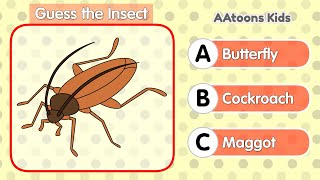 Guess the Insect | Insects name | Guess the animal | Picture Quiz | @AAtoonsKids by AAtoons Kids 35,474 views 7 months ago 8 minutes, 57 seconds