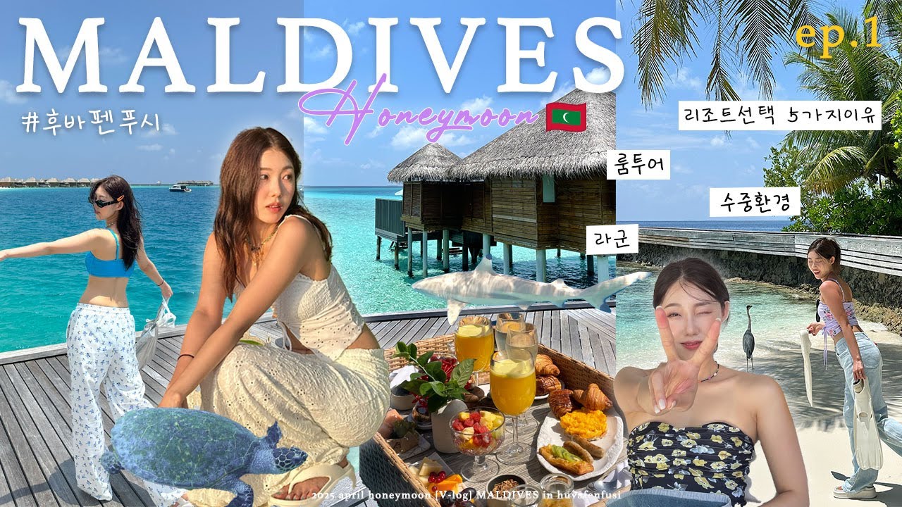 🇲🇻 꿈의 몰디브 신혼여행🏝 🐠후바펜푸시/5박7일/리조트 선택기준/싱가폴항공/라군&수중환경/바닷속에서 받는 마사지 💙