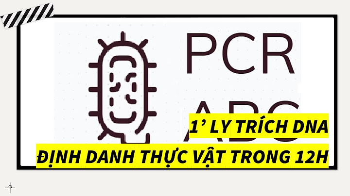 So sánh pcr và giải trình tự dna