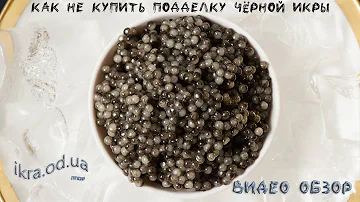 Как не купить подделку чёрной икры - видео инструкция как проверить икру и отличить имитированную