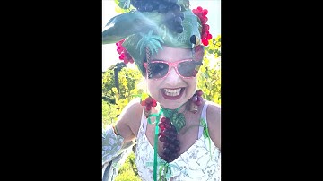 "THE DAYS OF WINE AND ROSES " divine wine at the award winning Giffords Hall Vineyard