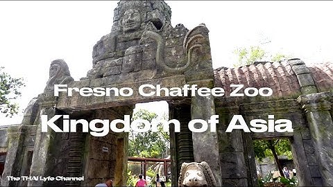 The Fresno Chaffee Zoo | Kingdom of Asia &  Butterfly Garden | 2023 #family #zoo #fresno