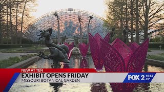 Missouri Botanical Garden unveils HYBYCOZO art exhibit