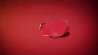 Trt Müzik - Yayın Akışı Jeneriği - 4 Nisan 2015 - 21 Ağustos 2021 - 50 Fps