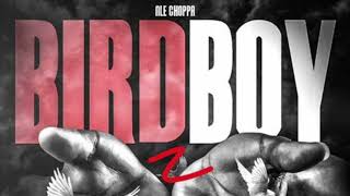 NLE CHOPPA - BIRDBOY 2 FULL UNRELEASED AUDIO *Mixed by Demidemon