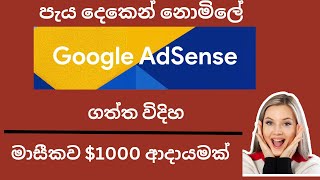 How to earn money with Google Adsense| Exblog.jp Sinhala | Adsense Sinhala 2024 | Exblog Sinhala