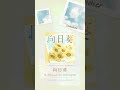 🌻「#向日葵」楽曲一部公開1 / 8.26 Release / #FloweRiRy #ふわりり #shorts