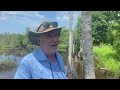 Beavers Causing Big Problems In Horry County Communities