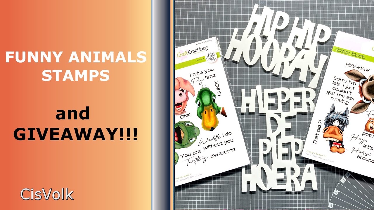 🐷 HIP HIP HOORAY 🦆 a funny animals 🐢 
