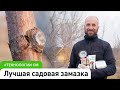 Лучшая садовая замазка для защиты ран после обрезки деревьев. #СадовыйЭксперт