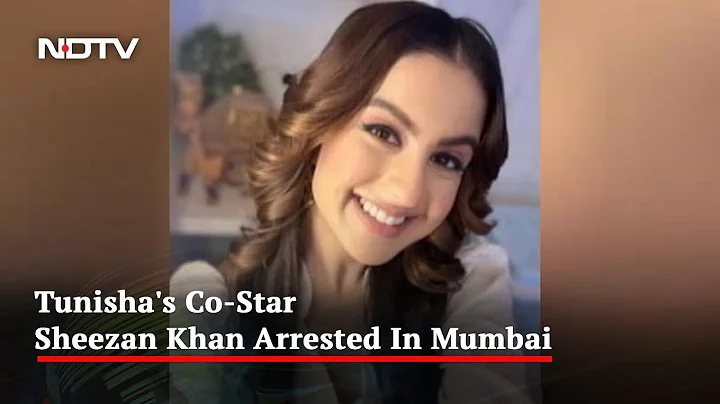 Tunisha Sharma Suicide Case: Co-Star Arrested In T...