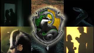 pov: you&#39;re in a Slytherin/Hufflepuff relationship