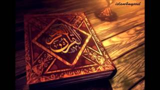 الشيخ علي جابر سورة النصر quran sheikh ali jaber surah an nasr 110