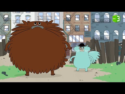 حريق يدمر منزل القط غروشا والسبب