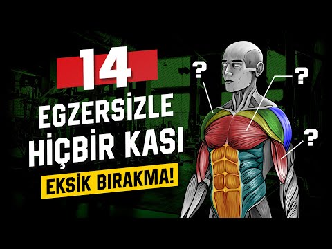 Tüm Kasları Tek Tek İnceledik, Kaç Hareket Lazım? (LABS)