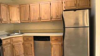 Bay Ridge Apartment Ridge Blvd.mov