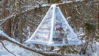 Bizarre Tree House made of Plastic Wrap!