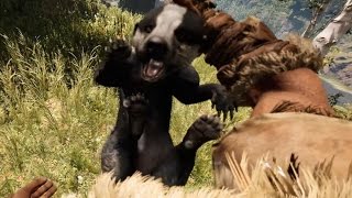 Far Cry Primal - Hunting Badger | Location - Free Roam Gameplay (PC HD) [1080p60FPS]