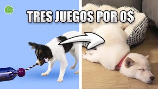 3 JUGUETES CASEROS para JUGAR con tu PERRO