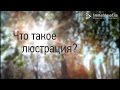 Что такое люстрация?