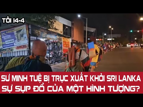 Sư Minh Tuệ Bị Trục Xuất Khỏi Sri Lanka Sự Sụp Đổ Của Một Hình Tượng