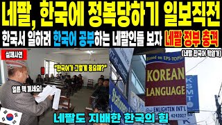 [해외감동사연] &quot;한국어 글로벌 1위 성공 열쇠&quot; 배우기만 하다 결국 운명을 바꿔버린 나라