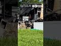 Camper fire outside Kirksville injures occupant, kills at least one pet
