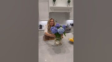 Reviving my hydrangeas 💙