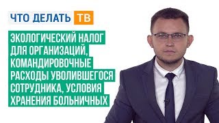 Экологический налог, командировочные расходы уволившегося сотрудника, условия хранения больничных Экологический налог, командировочные расходы уволившегося сотрудника, условия хранения больничных